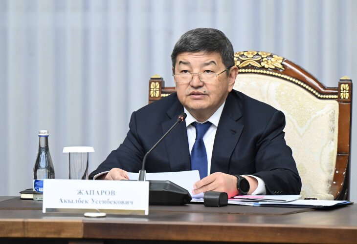 Киргизия и Казахстан будут наращивать экономическое сотрудничество