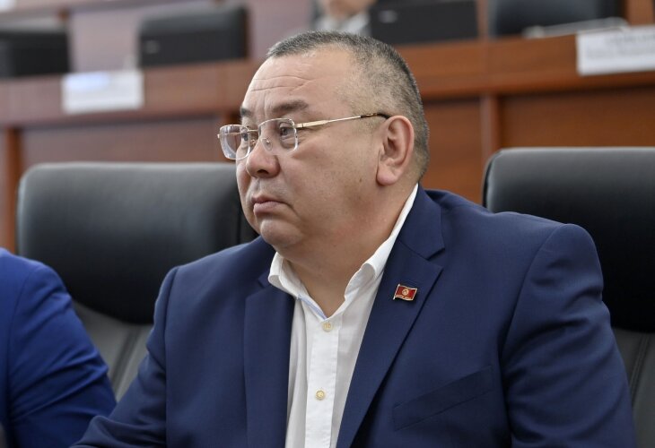 Киргизский депутат возмутился повышением тарифов на электричество