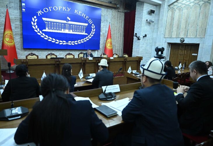 Киргизиский депутат недовольна стоимостью ипотечного жилья в Киргизии